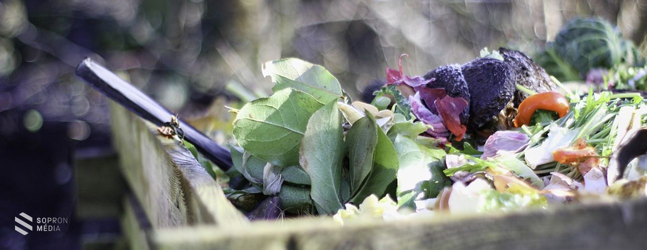 A zöldhulladék gyűjtésének lehetőségei és szabályai