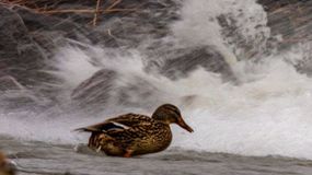 Hidegbetörés: 100 km/órás széllökések is lehetnek vasárnap