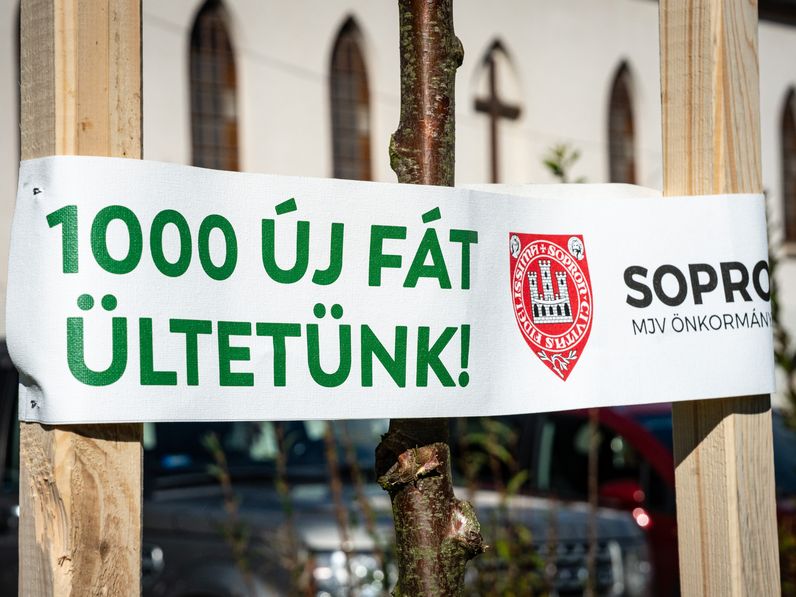 Folytatódik az „1000 új fát ültetünk” projekt