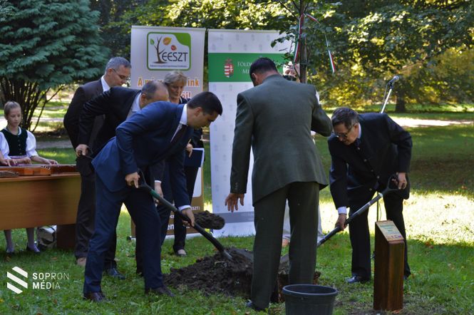 A konferencia előtt magyar-szlovén közös faültetésre is sor került az Erzsébet-kertben