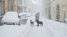 Rendületlenül esik a hó Sopronban
