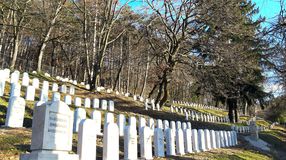 Akik a sopronbánfalvi hősi temetőben alusszák örök álmukat