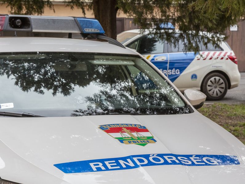 A Tómalmon történt testi sértéssel kapcsolatban közleményt adott ki a Soproni Rendőrkapitányság vezetője