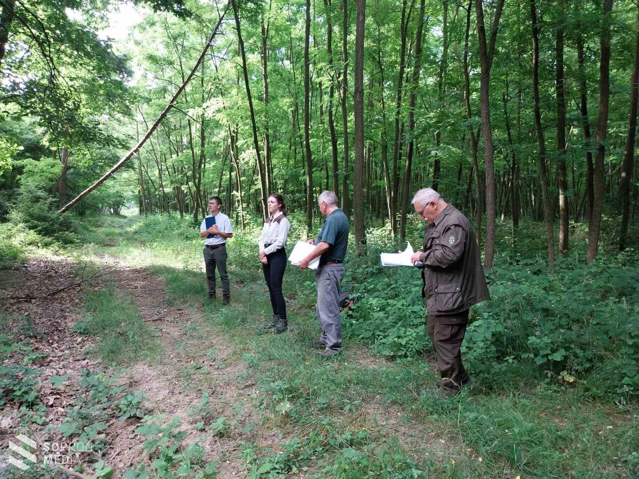 Terepi államvizsga az Erdőmérnöki Karon