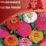 NM. Legényvirág (Rézvirág) Dália vir. szk. 2 g termék képe