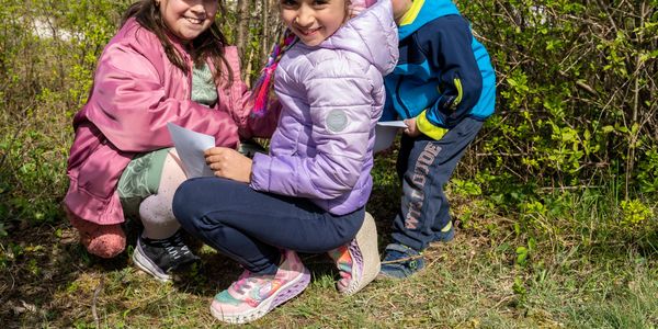 Itt szalad a nyulacska!
