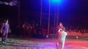 Lánykérés szombat este Sopronban a cirkusz porondján! VIDEÓ!