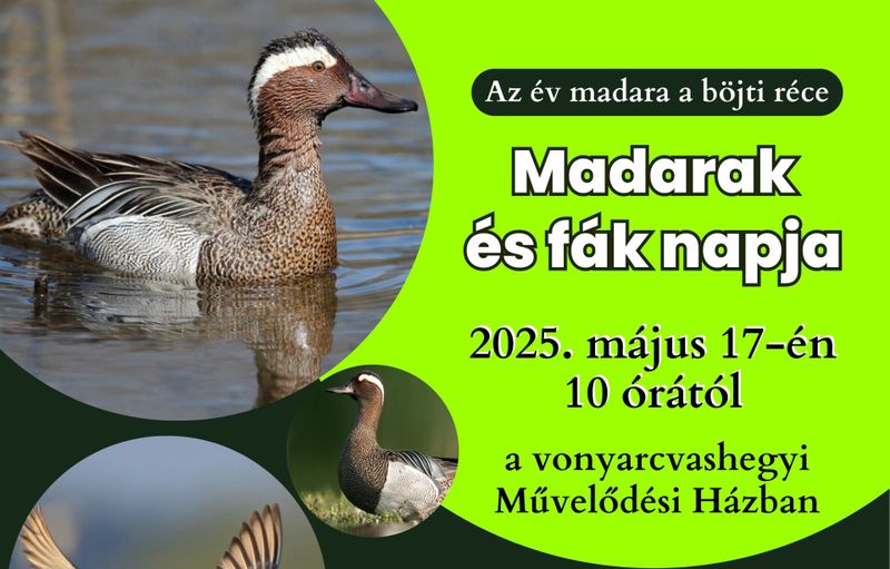 MADARAK ÉS FÁK NAPJA Vonyarcvashegyen szolgáltatás képe