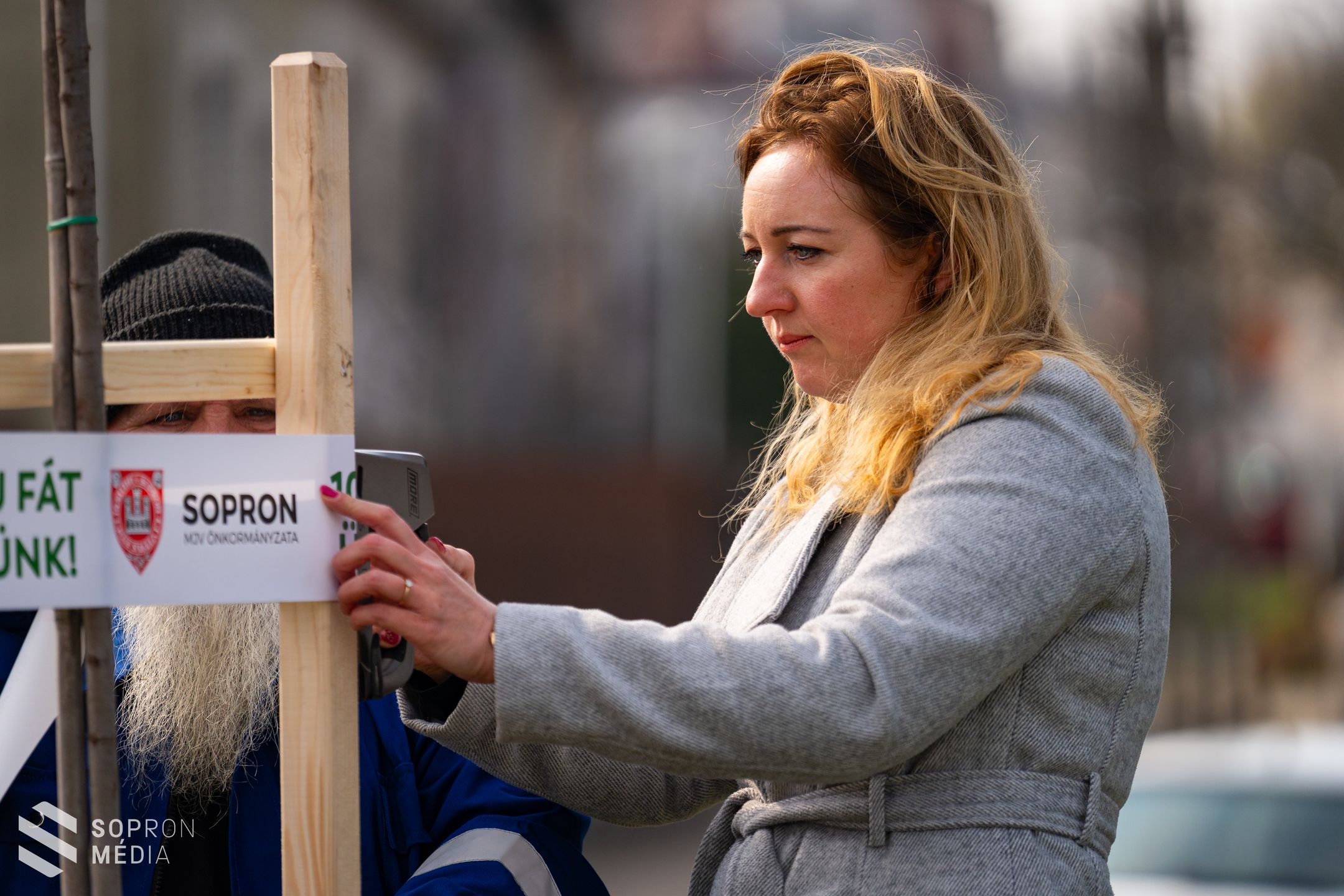 Faültetési program: 12 új fával gazdagodott a Kőszegi út