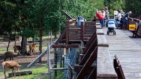 Átmenetileg bezárt az Erdő Háza