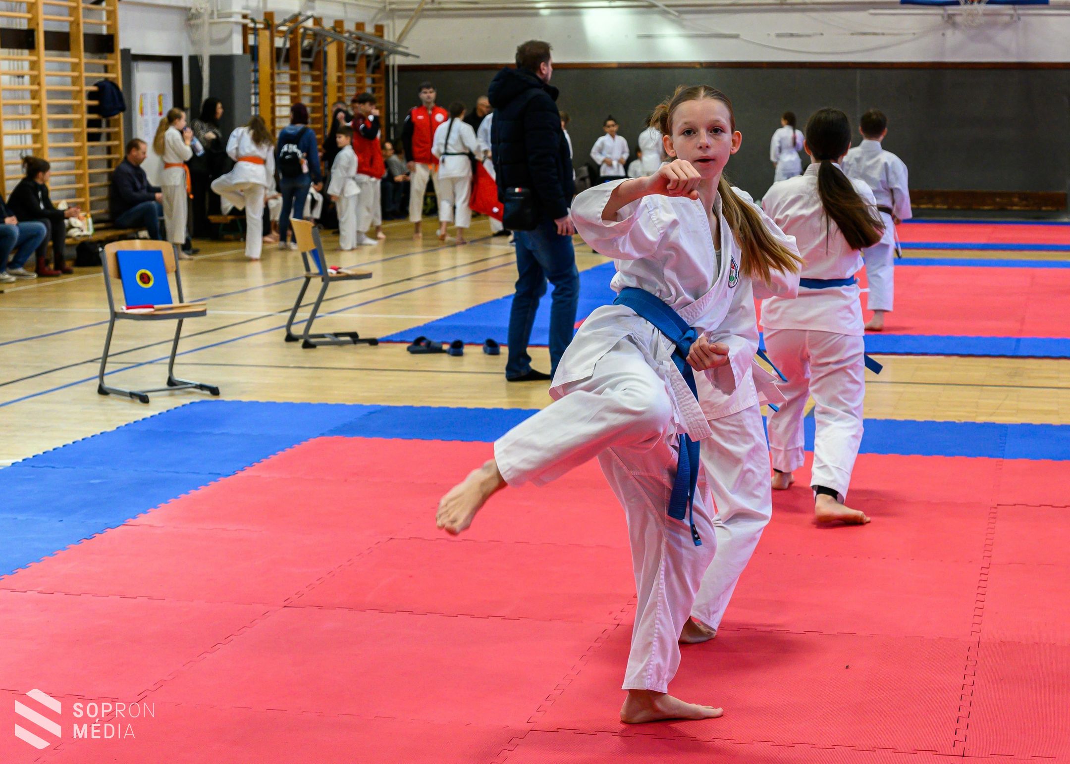 Hagyományos Shotokan Tigrisek Kupa