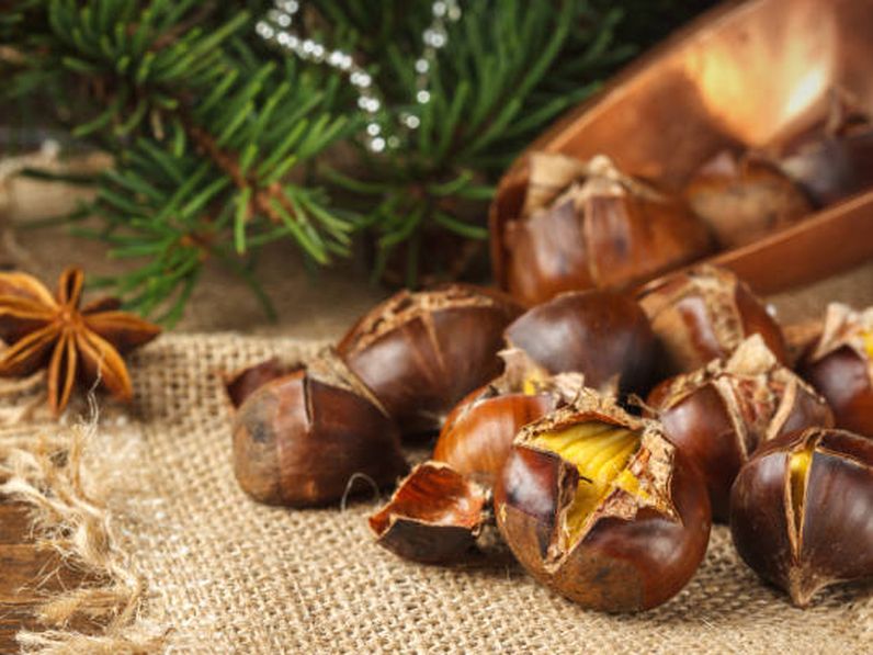 Gesztenye régen és most