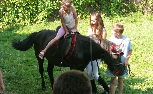 Napközis Tábor 2013