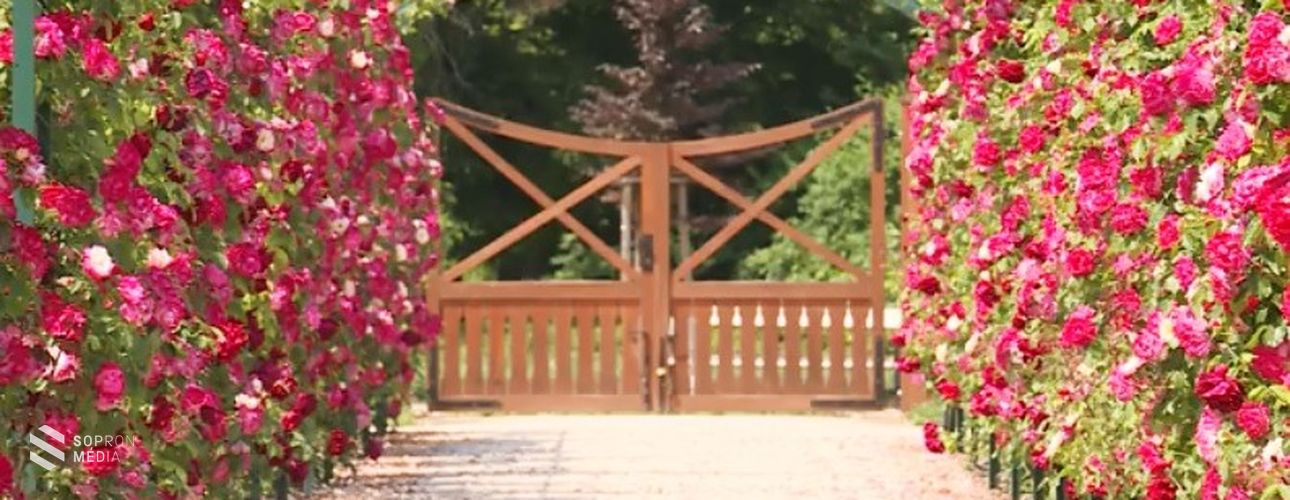 Az Esterházy-kastély Rózsakertje a Duna Televízióban