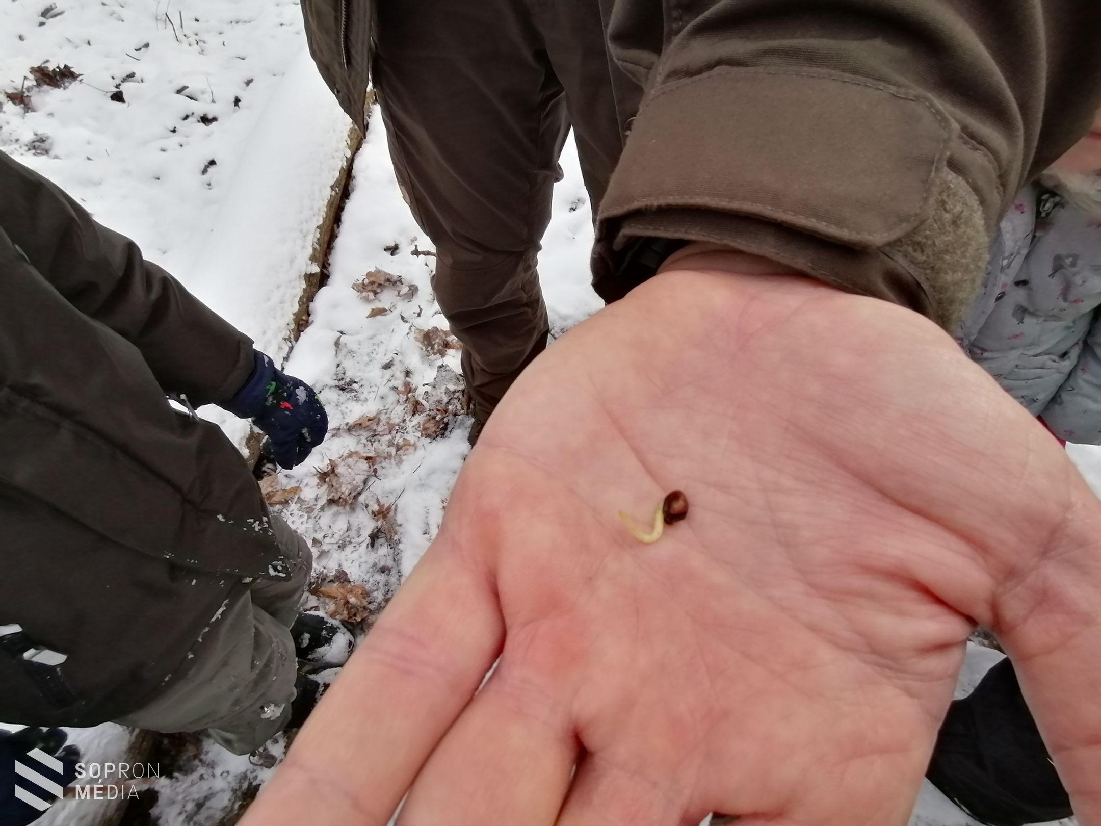 Télen is kaland az erdei tanóra