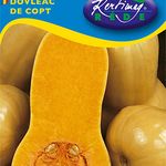 Sütőtök Orange 1 g termék képe