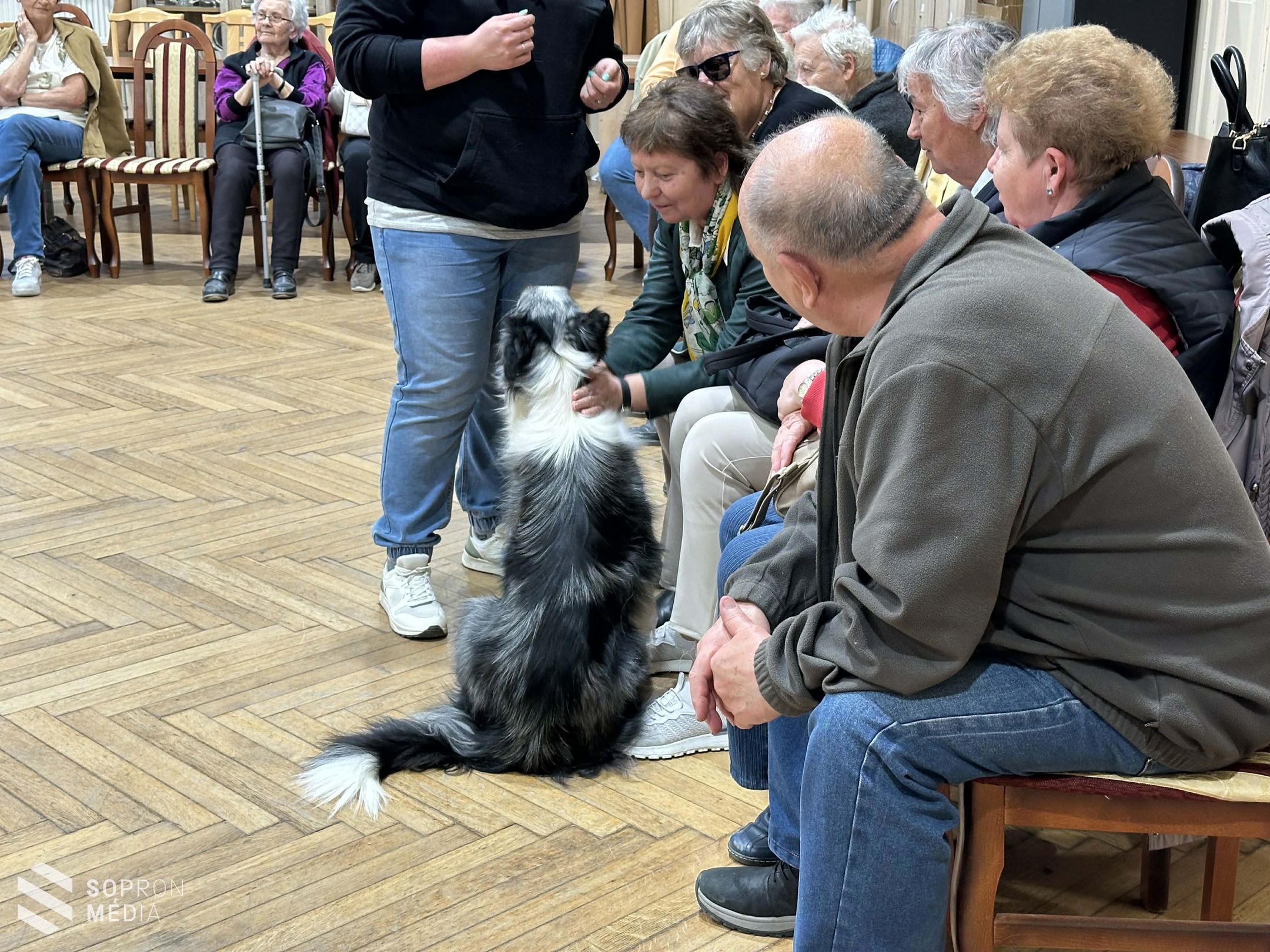 Terápiás kutyák látogattak el a nyugdíjas klub tagjaihoz