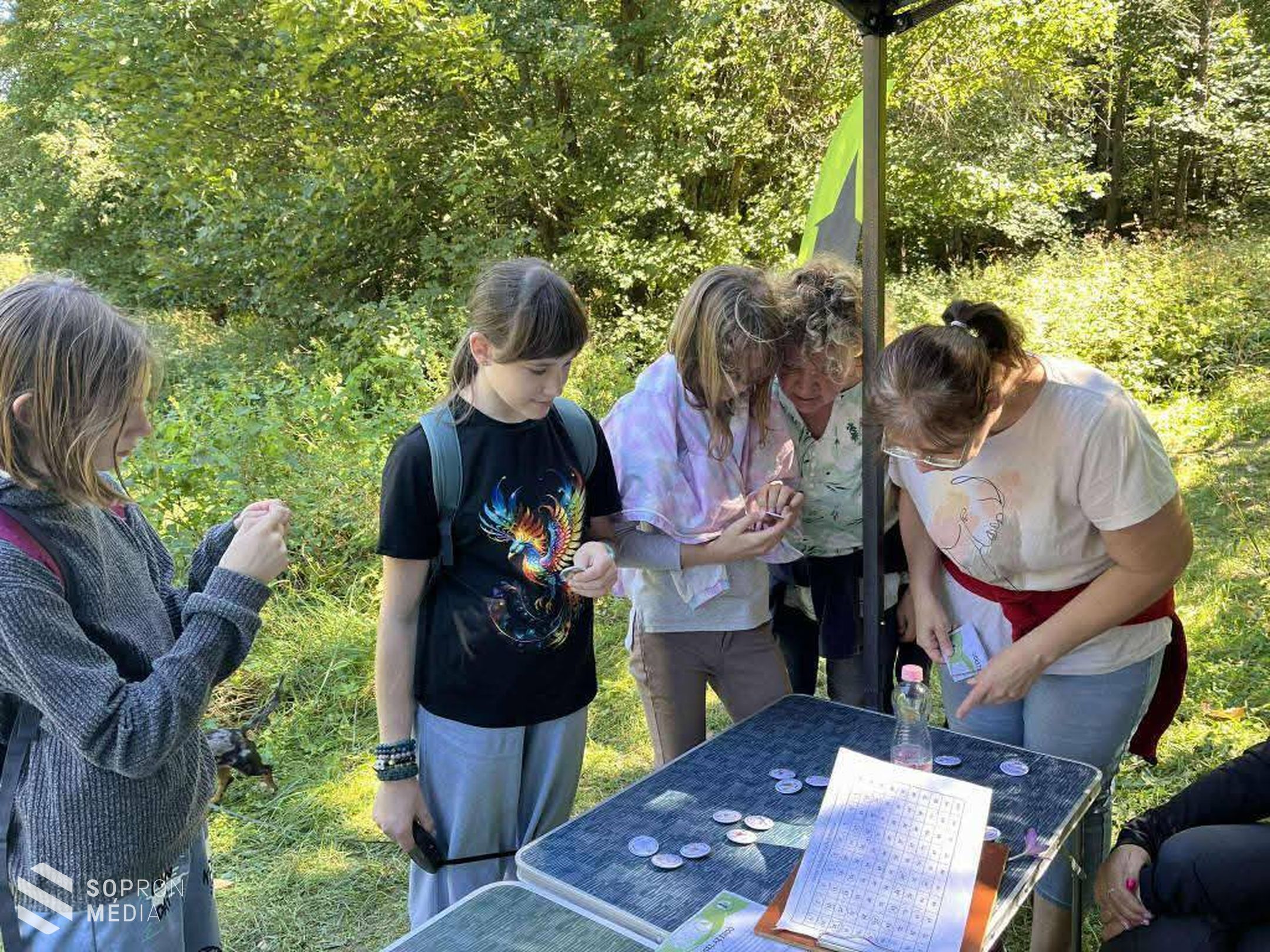 Verselt az erdő a Soproni Parkerdőben