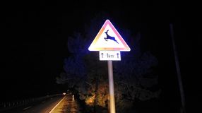 A vadbalesetek megelőzésére figyelmeztet a rendőrség