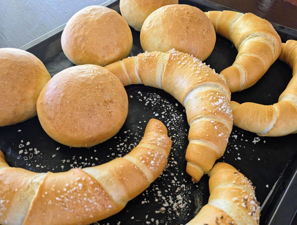 Egyetlen kelt tészta recept kenyérhez, kiflihez és zsemléhez