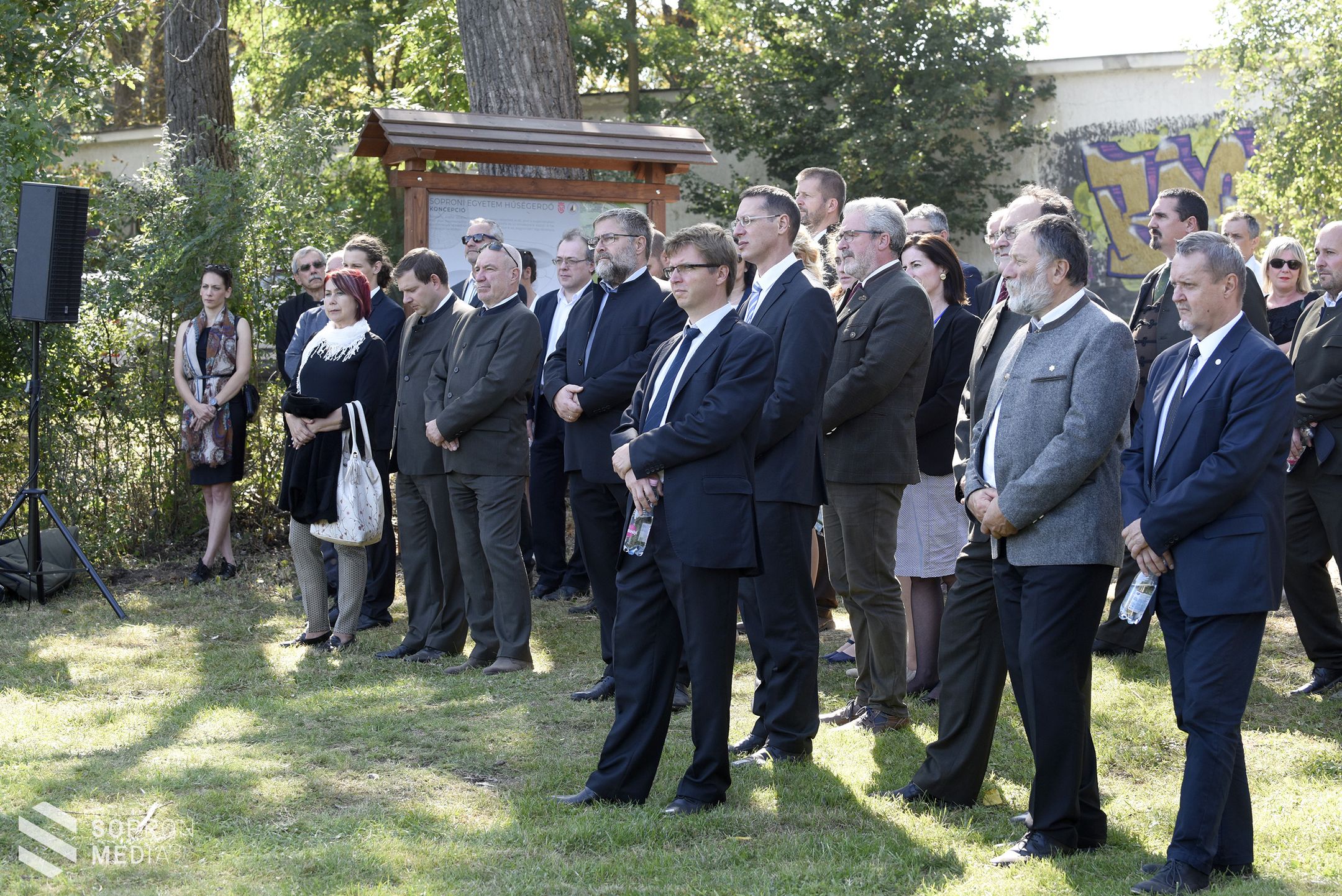 Elültették a Hűségerdő első fáját